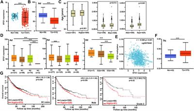 The roles of BTG1 mRNA expression in cancers: A bioinformatics analysis